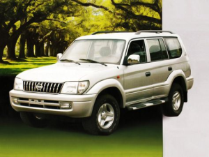 Derways Land Crown (313130) Джип/SUV 5 дв. 01.2006 - 12.2006