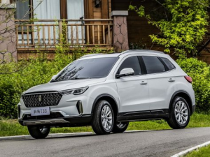 FAW Bestune T33 Джип/SUV 5 дв. 07.2019 - 11.2021