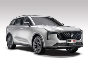 FAW Bestune T55 Джип/SUV 5 дв. 01.2021 -  н.в.