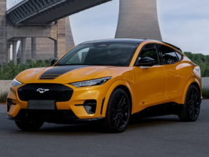Ford Mustang Mach-E Джип/SUV 5 дв. 11.2019 -  н.в.