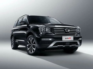GAC GS8 Джип/SUV 5 дв. 04.2016 - 12.2023