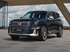 GAC GS8 Джип/SUV 5 дв., Гибрид 06.2025 -  н.в.