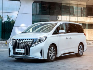 GAC Trumpchi GM8 Минивэн 11.2017 - 06.2021