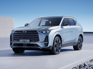 GAC Trumpchi GS4 Max Джип/SUV 5 дв. 03.2024 -  н.в.
