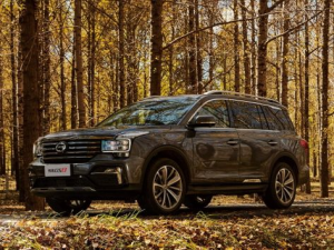GAC Trumpchi GS8 Джип/SUV 5 дв. 04.2019 - 11.2021