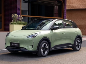 Geely Geome Xingyuan Джип/SUV 5 дв. 09.2024 -  н.в.