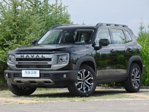 Haval Dargo Джип/SUV 5 дв. 07.2023 - 06.2025