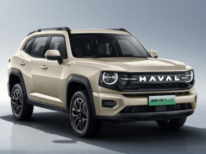 Haval Dargo Джип/SUV 5 дв., Гибрид 04.2025 - н.в.