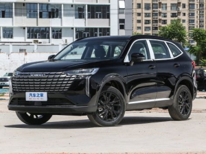 Haval H6 Джип/SUV 5 дв. 06.2024 - н.в.
