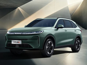 Haval H6L Джип/SUV 5 дв. 10.2025 -  н.в.