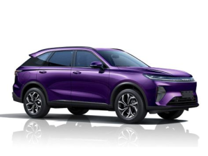 Haval Xiaolong Max Джип/SUV 5 дв., Гибрид 01.2025 -  н.в.