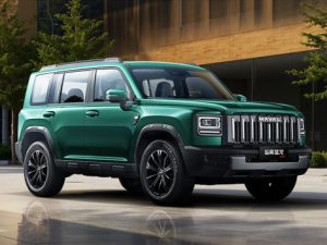 Haval Raptor Джип/SUV 5 дв., Гибрид 05.2025 -  н.в.