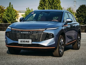 Haval Shenshou Джип/SUV 5 дв., Гибрид 08.2021 - 12.2024