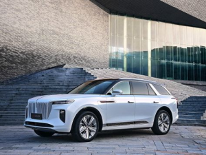Hongqi E-HS9 (E115) Джип/SUV 5 дв. 06.2022 -  н.в.