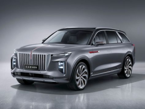 Hongqi E-HS9 (E115) Джип/SUV 5 дв. 06.2022 -  н.в.