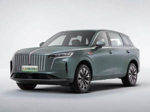 Hongqi HS6 Джип/SUV 5 дв., Гибрид 08.2025 -  н.в.