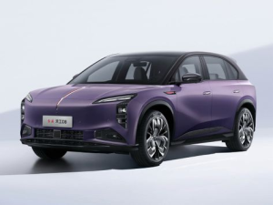 Hongqi Tiangong 08 Джип/SUV 5 дв. 01.2025 -  н.в.