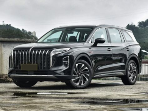 Hongqi HS7 Джип/SUV 5 дв., Гибрид 04.2023 -  н.в.