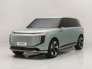 Hongqi HS9 Джип/SUV 5 дв. 06.2025 -  н.в.