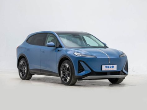 Hongqi Tiangong 06 Джип/SUV 5 дв. 04.2025 -  н.в.