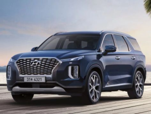 Hyundai Palisade (LX2) Джип/SUV 5 дв. 11.2018 - 05.2022