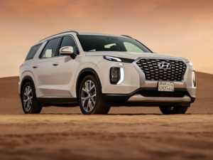 Hyundai Palisade (LX2) Джип/SUV 5 дв. 09.2020 - 08.2022