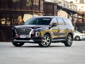 Hyundai Palisade (LX2) Джип/SUV 5 дв. 09.2020 - 08.2022