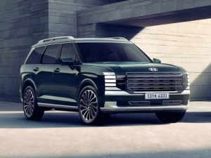 Hyundai Palisade (LX3) Джип/SUV 5 дв. 12.2024 -  н.в.
