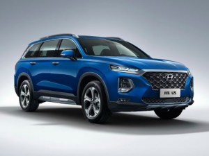 Hyundai Santa Fe (TM) Джип/SUV 5 дв. 04.2019 - 09.2022