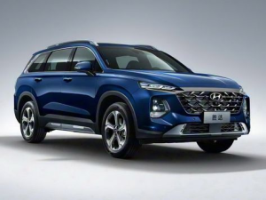 Hyundai Santa Fe (TM) Джип/SUV 5 дв. 09.2022 - 04.2024