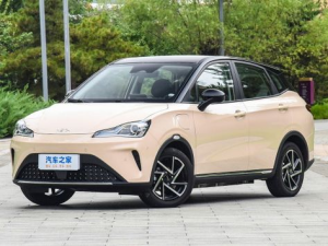 Hozon Neta Aya Джип/SUV 5 дв. 08.2023 -  н.в.