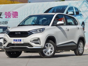 Hozon Neta N01 Джип/SUV 5 дв. 08.2019 - 12.2020