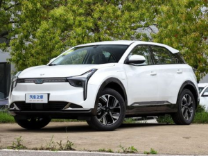 Hozon Neta U-II Джип/SUV 5 дв. 10.2022 - 08.2024