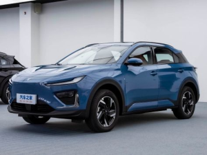 Hozon Neta X Джип/SUV 5 дв. 10.2023 -  н.в.
