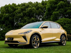 IM Motors LS7 Джип/SUV 5 дв. 04.2023 -  н.в.