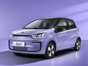 JAC Sehol E10X Хэтчбек 5 дв. 11.2020 -  н.в.