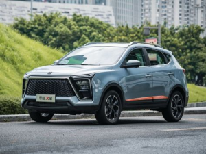 JAC Sehol X6 Джип/SUV 5 дв. 04.2022 -  н.в.