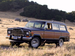 Jeep Wagoneer (SJ) Джип/SUV 5 дв. 08.1981 - 05.1983