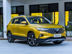 Jetta VS5 Джип/SUV 5 дв. 02.2019 - 04.2024