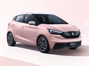 JMEV EV3 Хэтчбек 5 дв. 10.2023 -  н.в.
