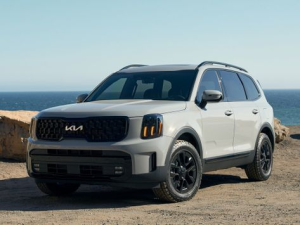 Kia Telluride Джип/SUV 5 дв. 04.2022 -  н.в.