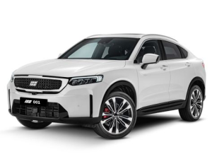 Knewstar 001 Джип/SUV 5 дв. 09.2024 -  н.в.