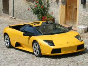 Lamborghini Murcielago Открытый кузов 01.2004 - 05.2006