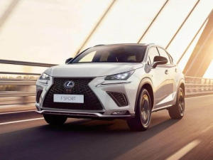 Lexus NX200 (Z10) Джип/SUV 5 дв. 04.2017 - 01.2021