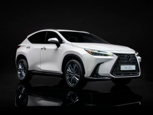 Lexus NX250 (AZ20) Джип/SUV 5 дв. 06.2021 - 12.2022