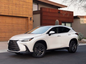 Lexus NX250 (AZ20) Джип/SUV 5 дв. 06.2021 -  н.в.