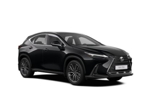 Lexus NX250 (AZ20) Джип/SUV 5 дв. 06.2021 -  н.в.