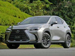 Lexus NX250 (AZ20) Джип/SUV 5 дв. 10.2021 -  н.в.