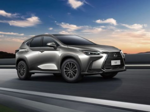 Lexus NX260 (AZ20) Джип/SUV 5 дв. 06.2021 -  н.в.