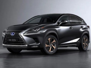 Lexus NX300h (Z10) Джип/SUV 5 дв., Гибрид 04.2017 - 01.2021